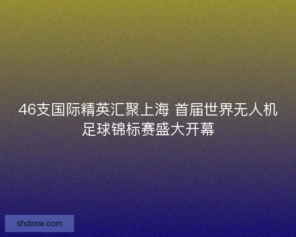 46支国际精英汇聚上海 首届世界无人机足球锦标赛盛大开幕